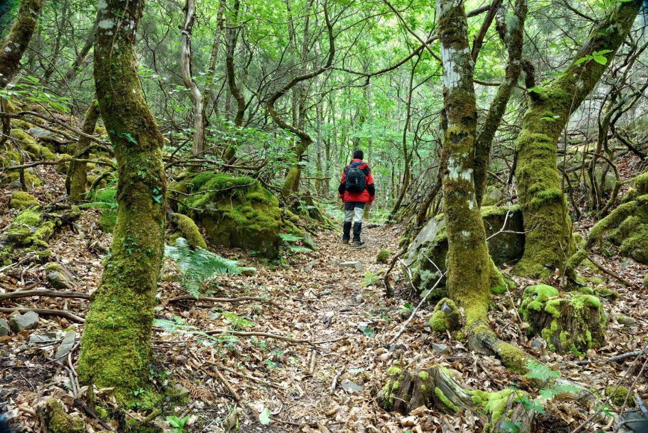 A Casoa Affittacamere Santa Eulalia de Oscos Esterno foto